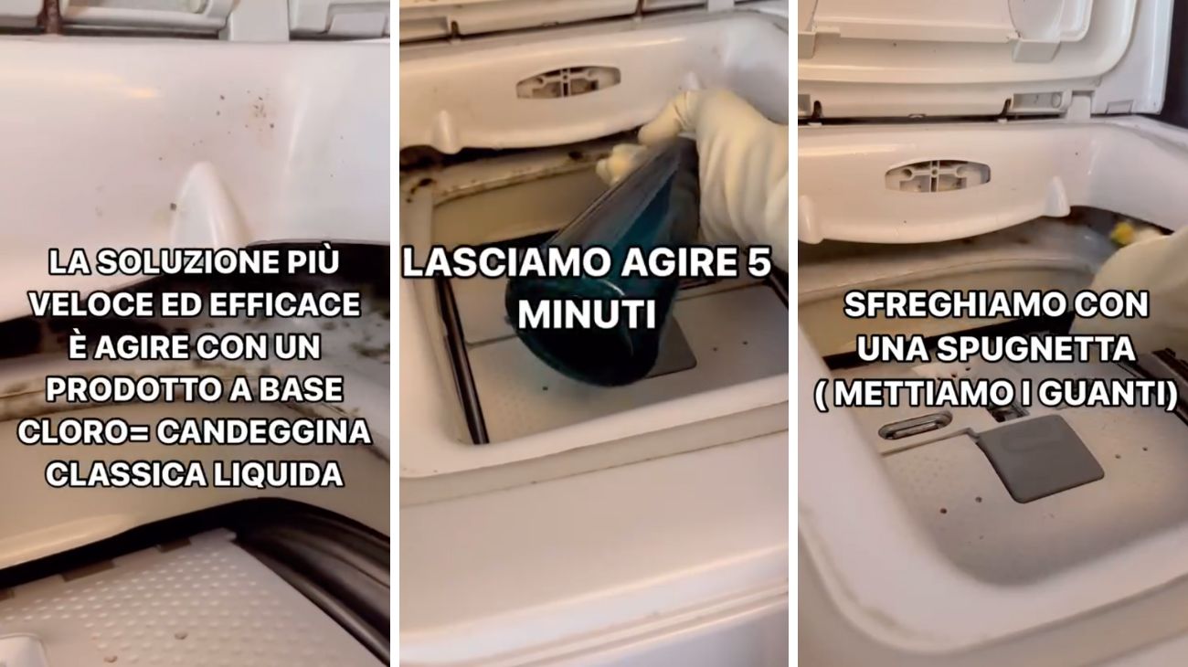 muffa lavatrice soluzione