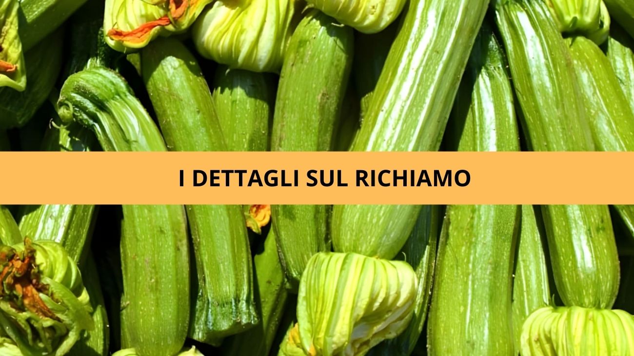 Zucchine lotti ritirati