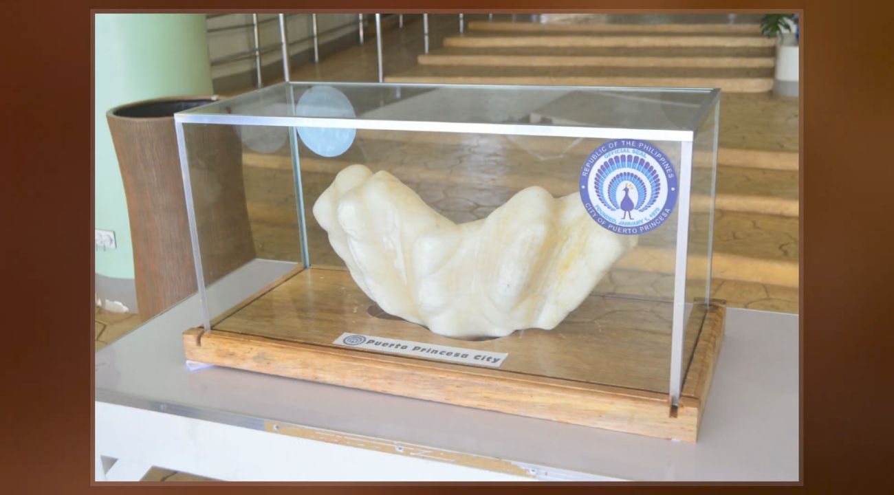 La perla da 34 kg che il pescatore filippino ha tenuto sotto il letto