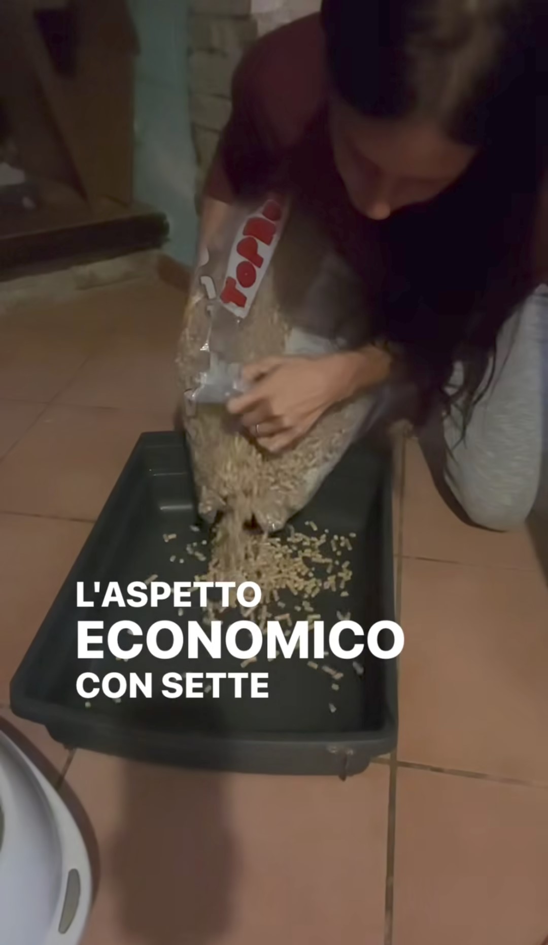 Usare il pellet come lettiera del gatto sembra essere la scelta preferita di questa content creator italiana, che consiglia a tutti di imitarla.