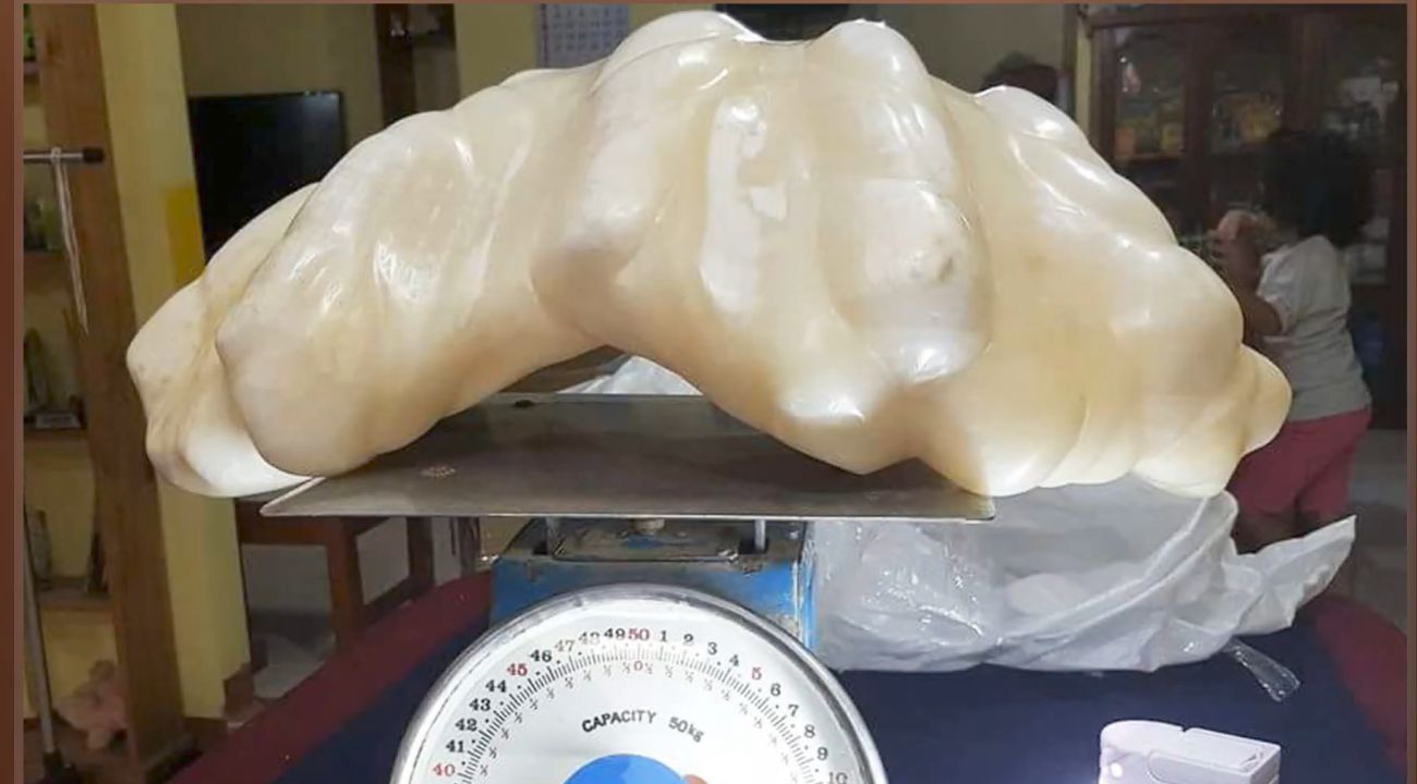 perla gigante filippine