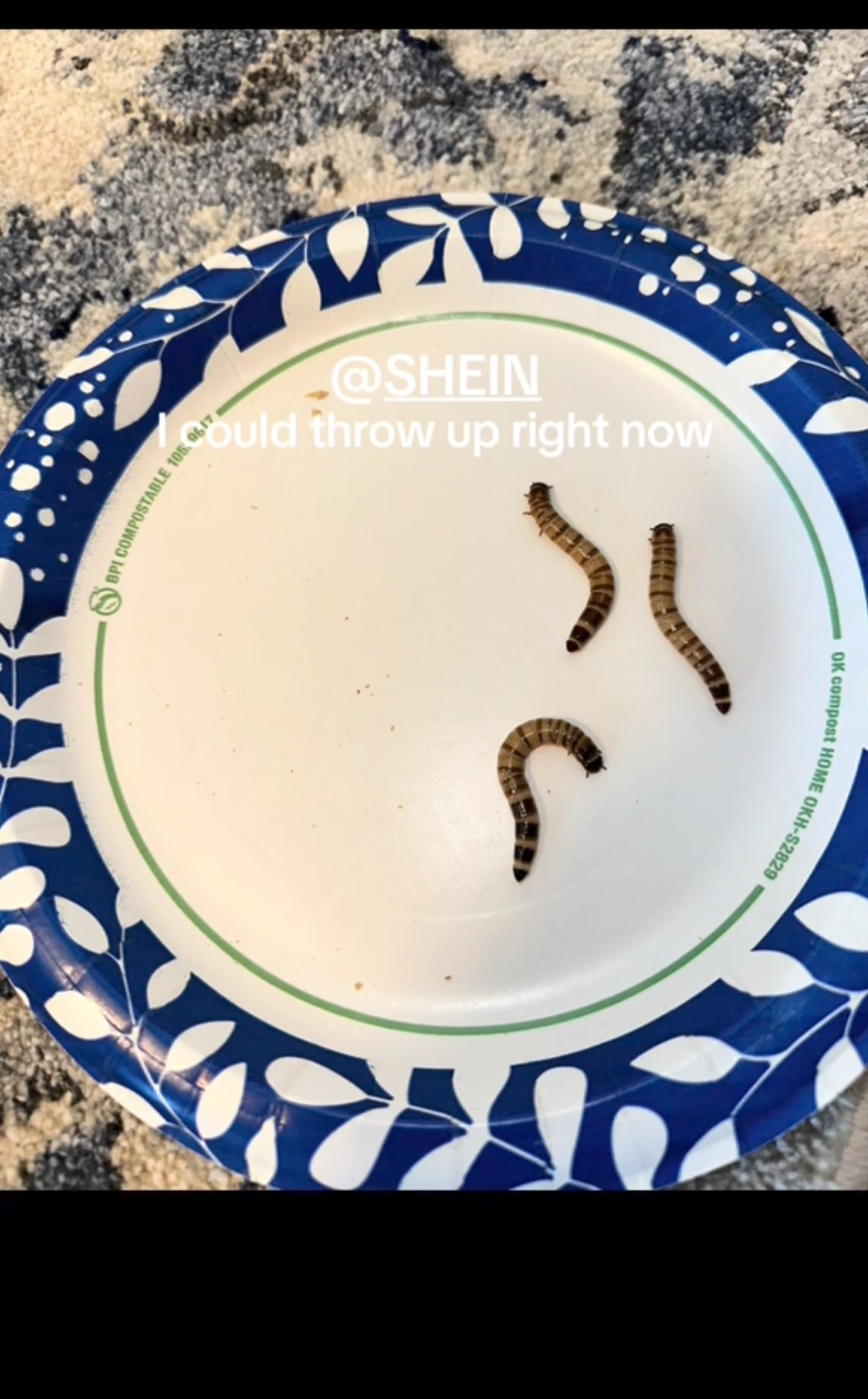 I vermi che, secondo Emma Coad, erano contenuti nella busta di Shein