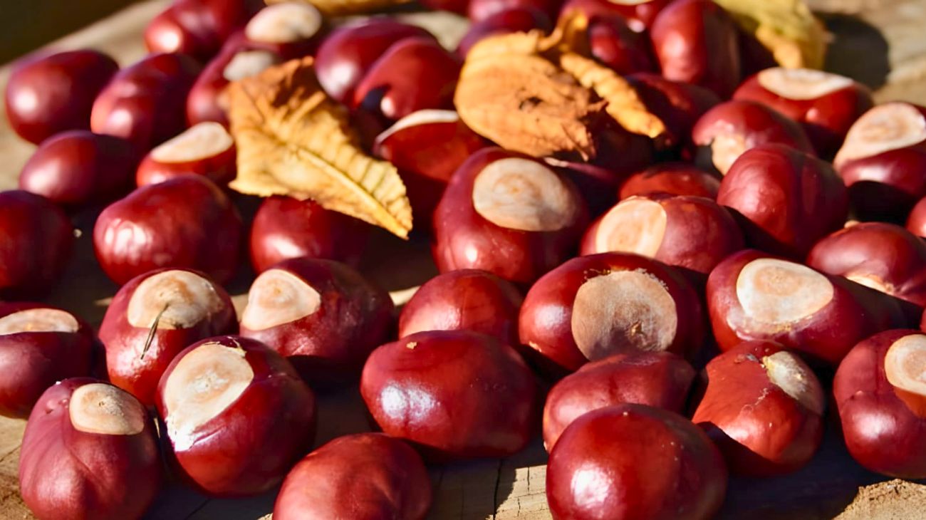 Castagne quando consumarle