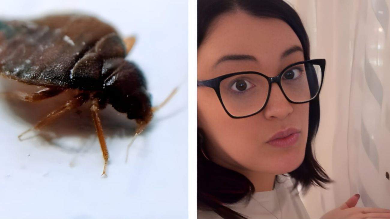 Cimici lontane acqua calda aglio