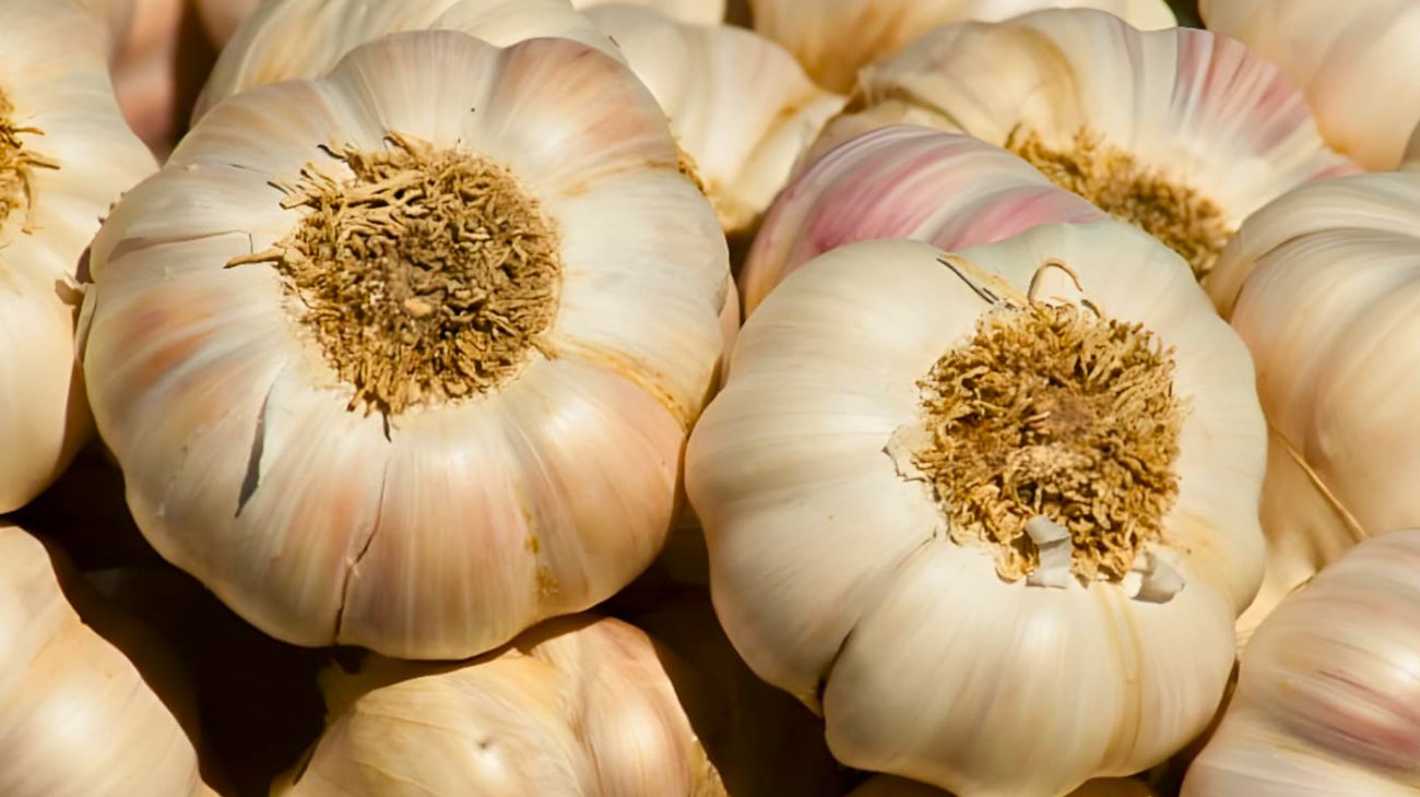 Cimici lontane acqua calda aglio