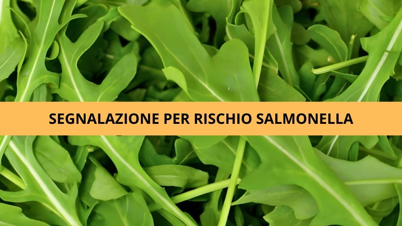 Rucola richiamati lotti supermercati