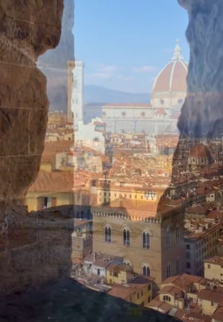 Vista di Firenze dalla Torre di Arnolfo