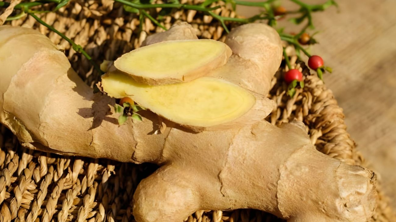 Alimentazione digerire