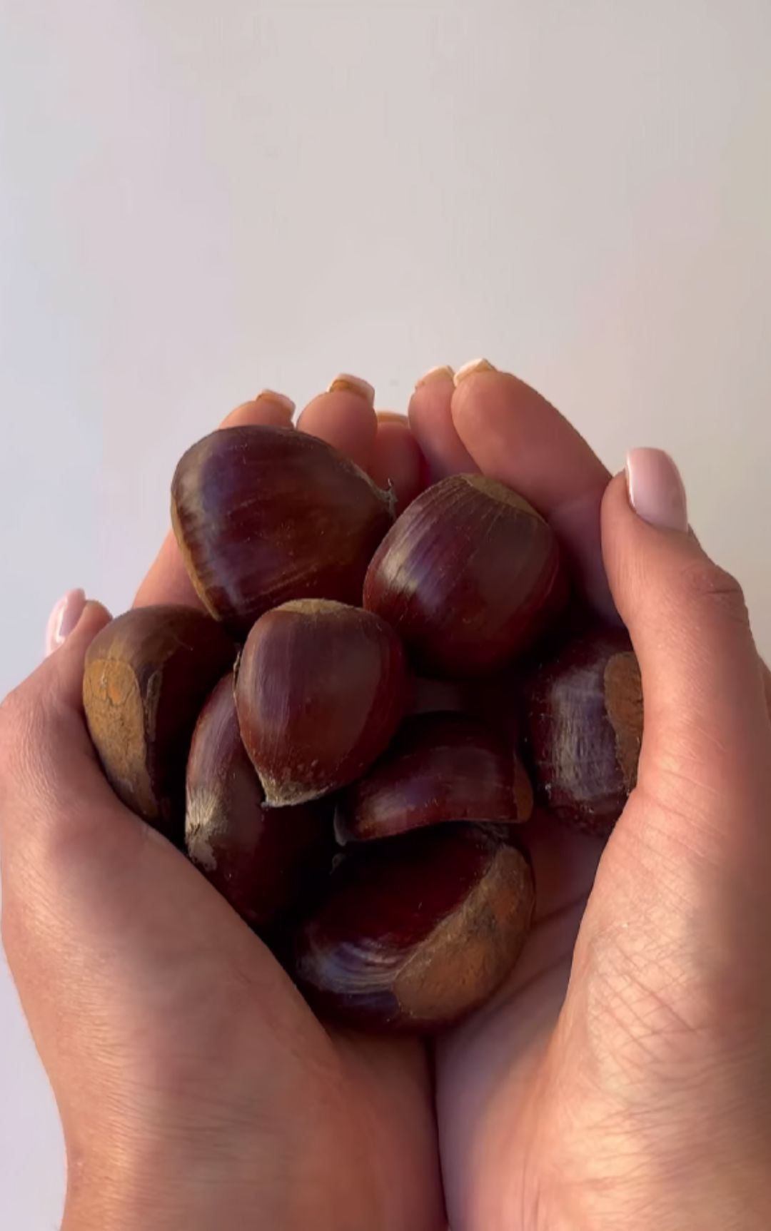castagne