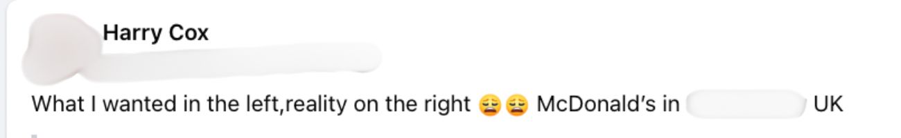 ordina-un-panino-al-mcdonalds-e-questo-e-quello-che-gli-servono-la-differenza-tra-foto-e-prodotto-reale2