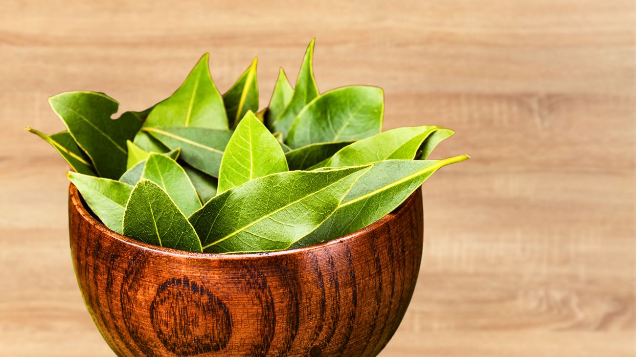 Pesciolini d'argento