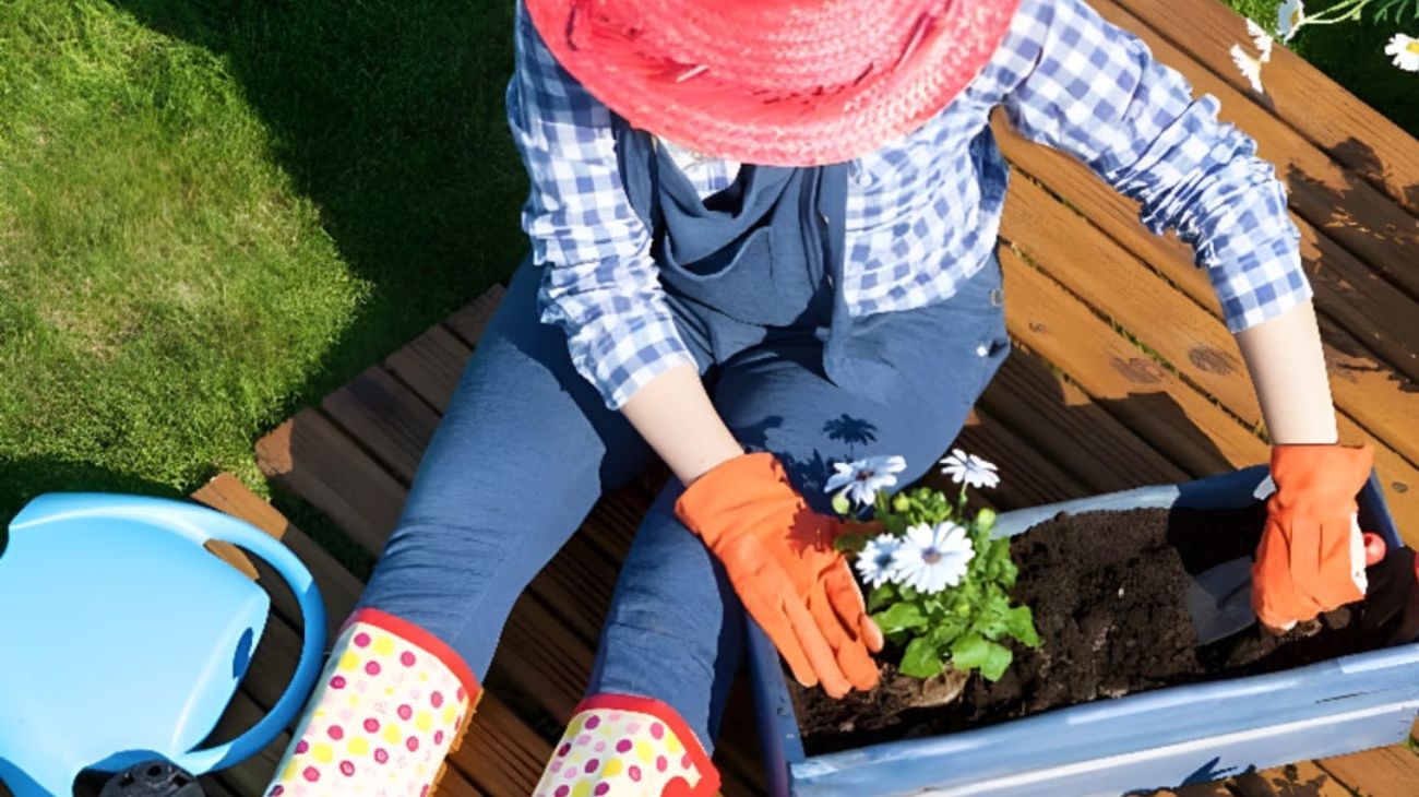 Cura del giardino di casa nei mesi invernali