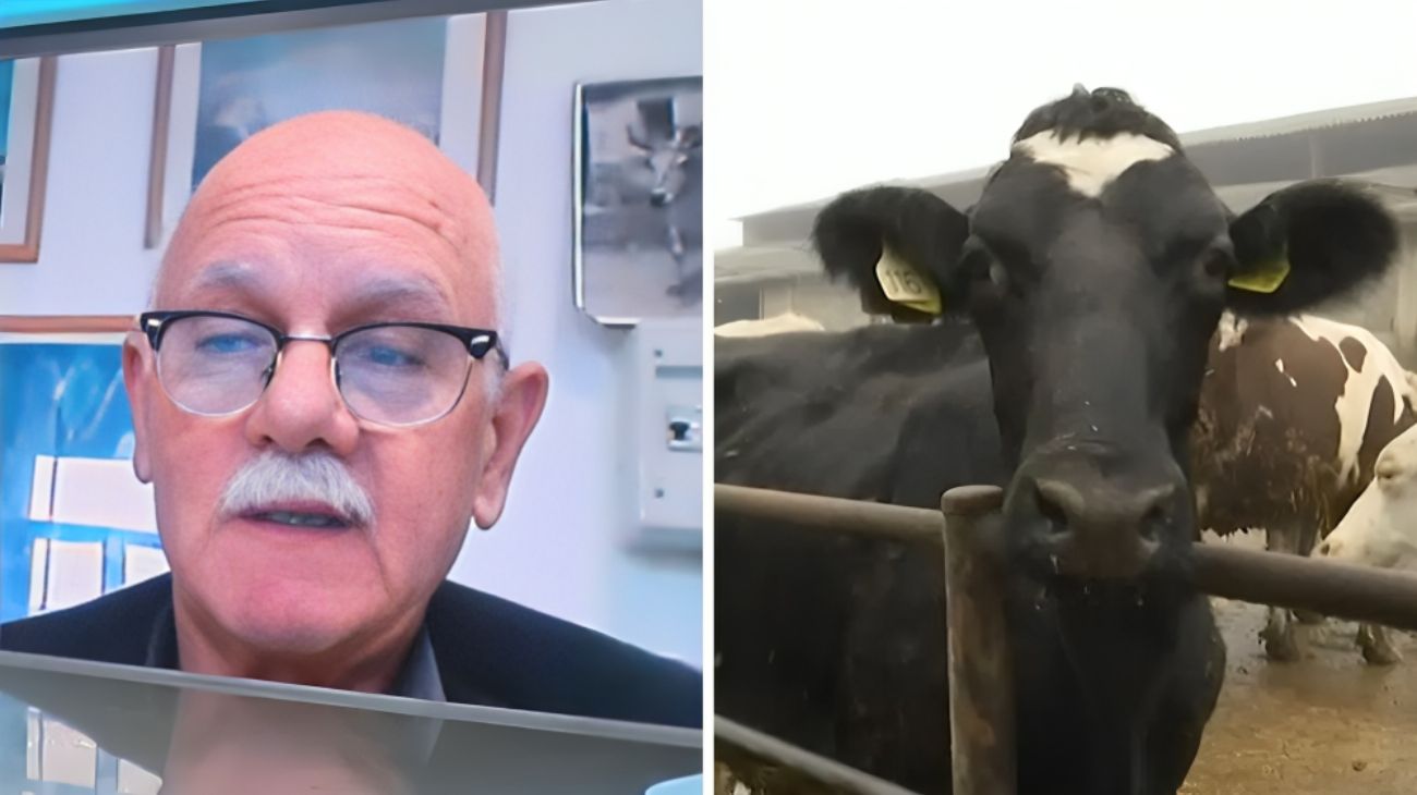 azienda agricola (2)