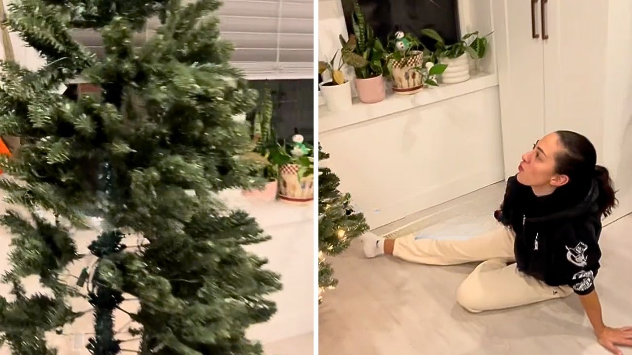 Compra un albero di Natale