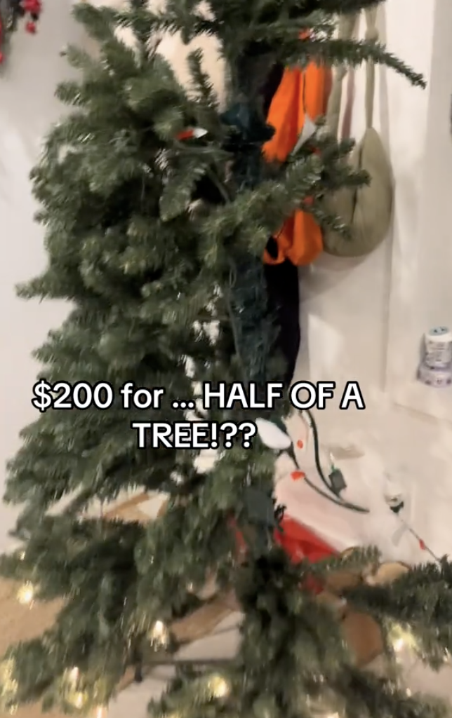 Compra un albero di Natale