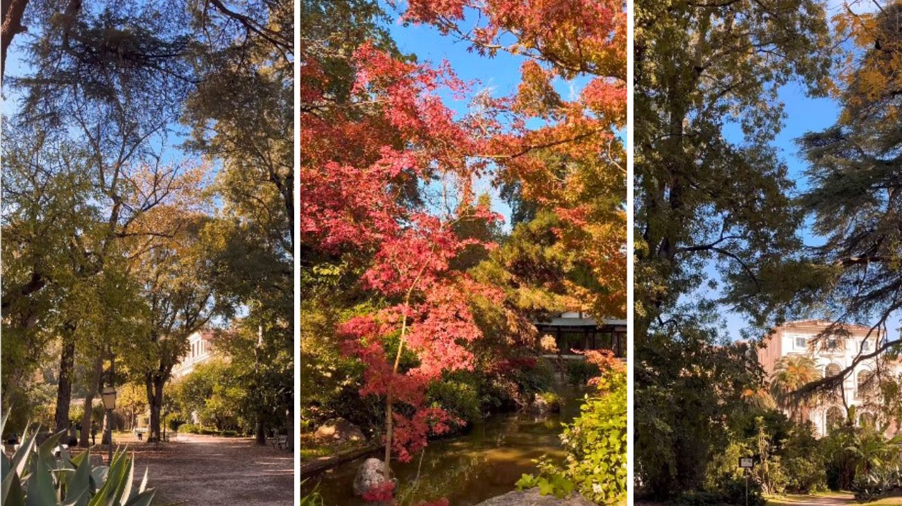 Roma, giardino magico. Profilo Theweekendsers
