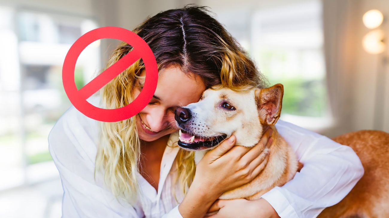 non volere animali domestici