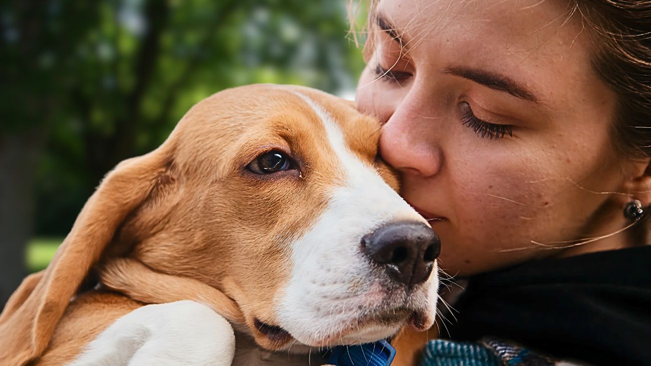 Non volere animali domestici