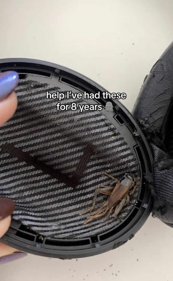 ho-pulito-le-cuffie-per-la-prima-volta-in-8-anni-allinterno-ho-trovato-la-piu-incredibile-delle-sorprese1