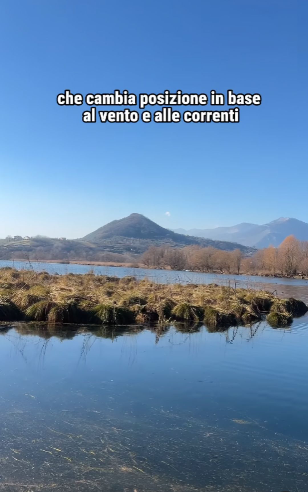 isolotto galleggiante