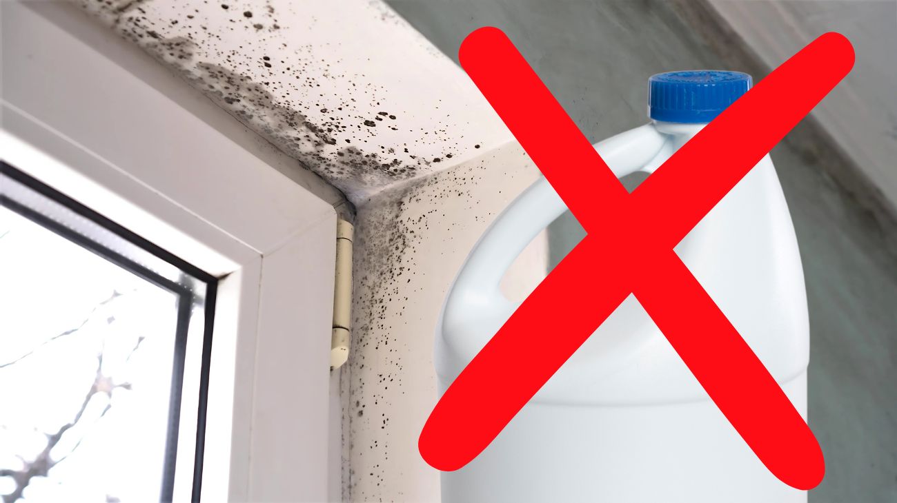 muffa-sui-muri-il-metodo-economico-e-veloce-per-eliminarla-definitivamente-e-piu-efficace-della-candeggina1