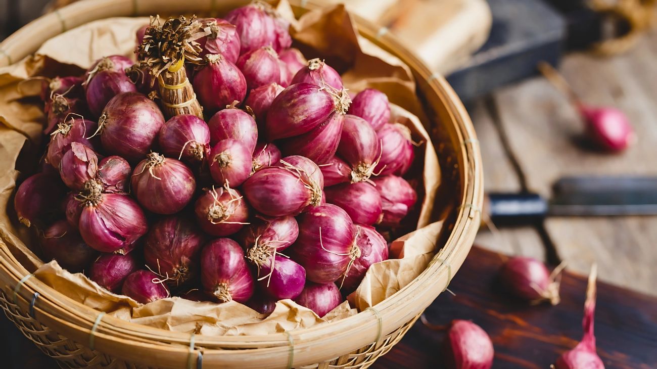 cipolle conservare
