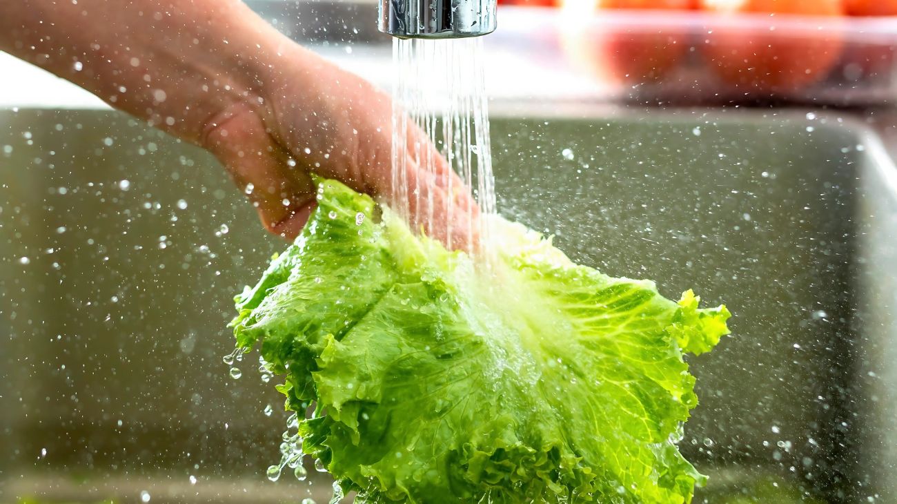 insalata lavare