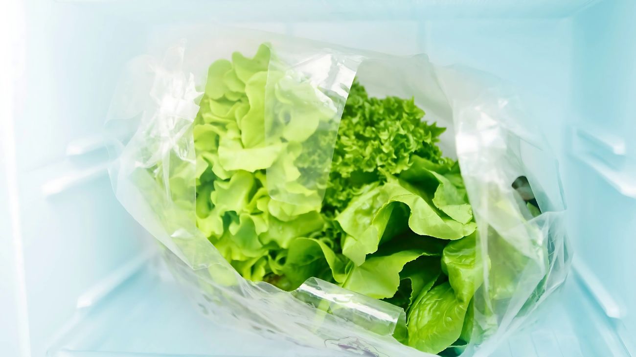 lattuga come conservarla