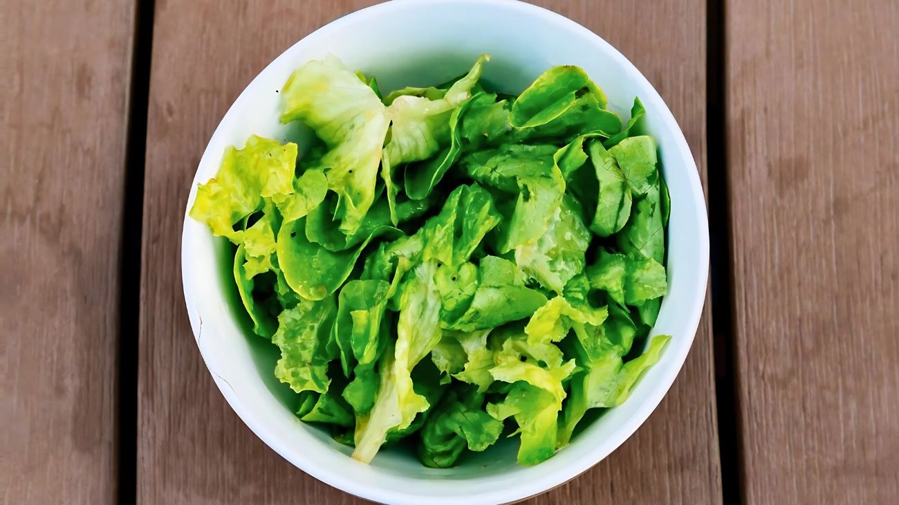 lattuga piatto