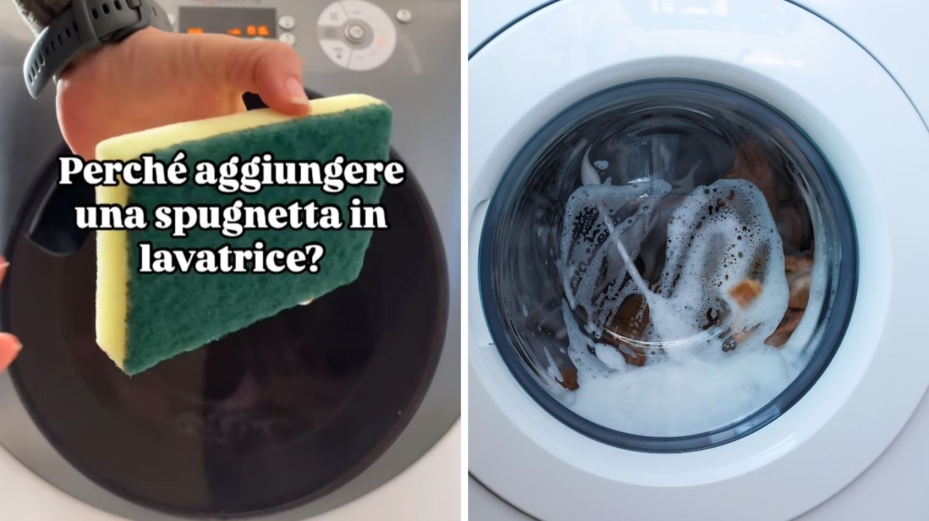 spugnetta lavatrice