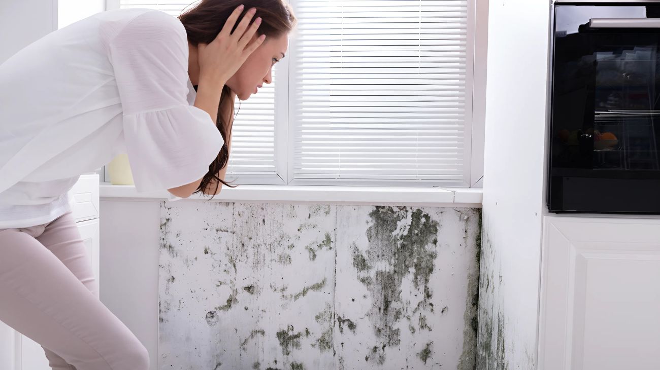 eliminare muffa dai muri