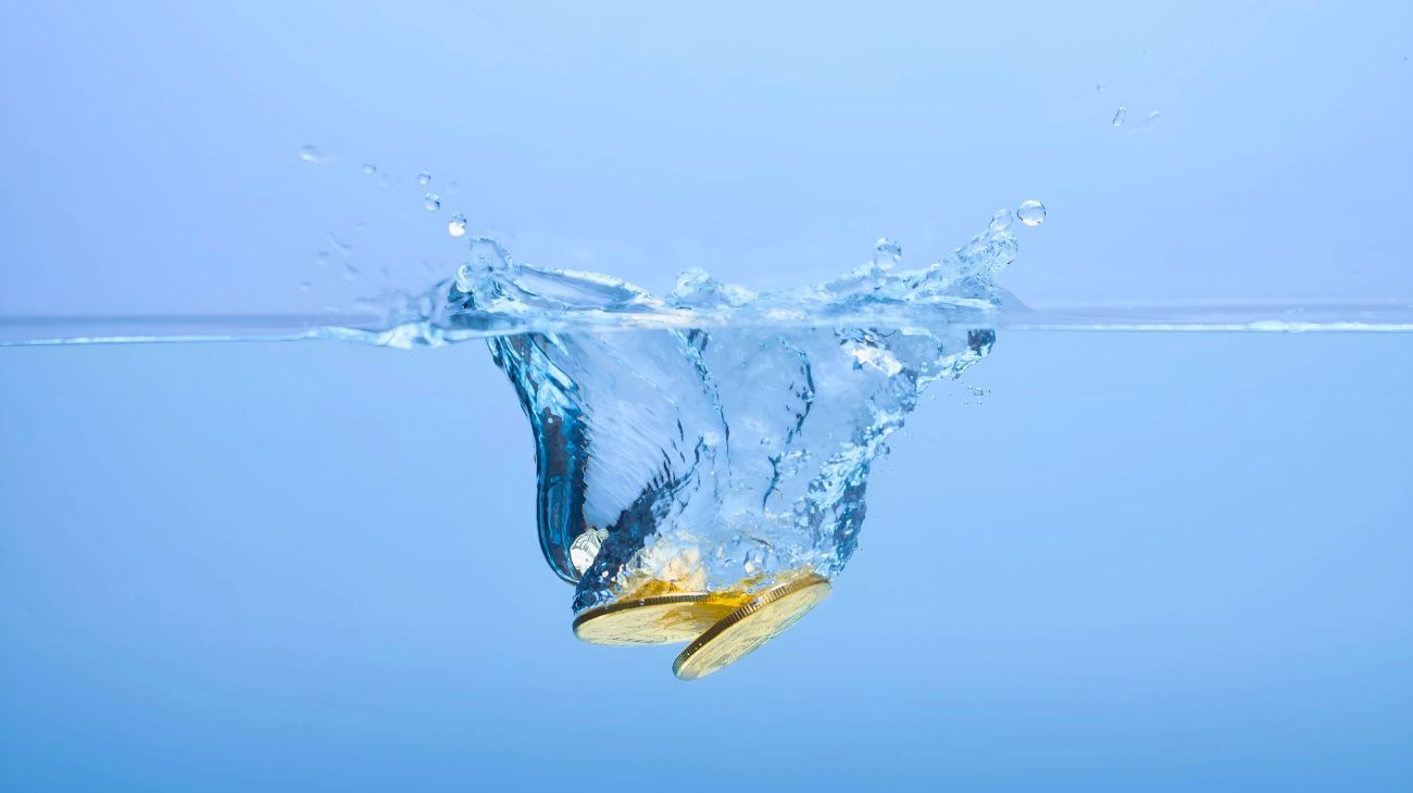 monetina congelatore