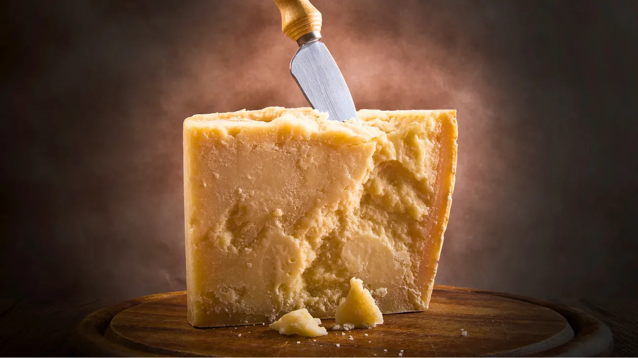 Progetto senza titolo-20