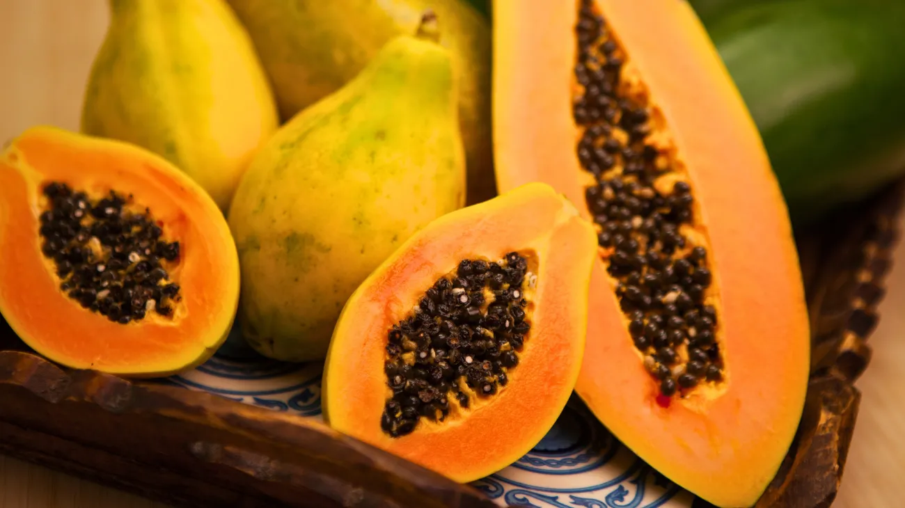 Progetto senza titolo-23