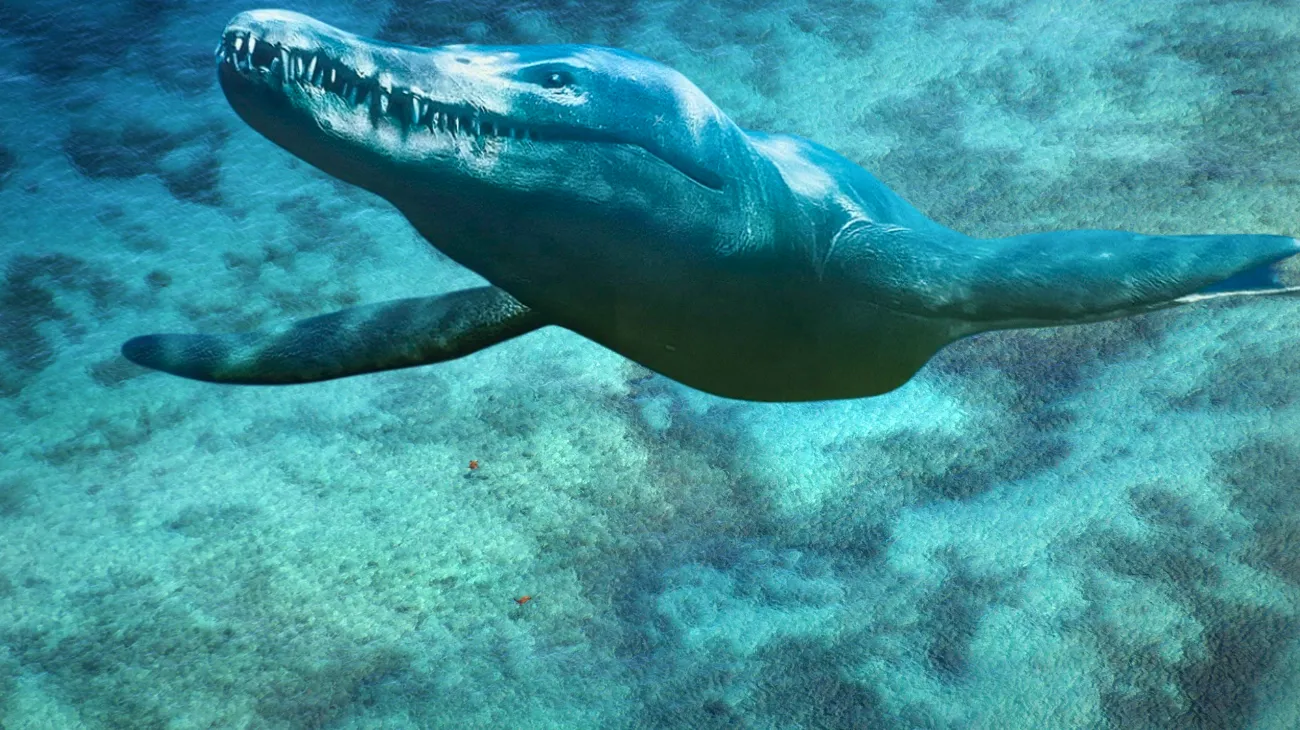 Progetto senza titolo-26