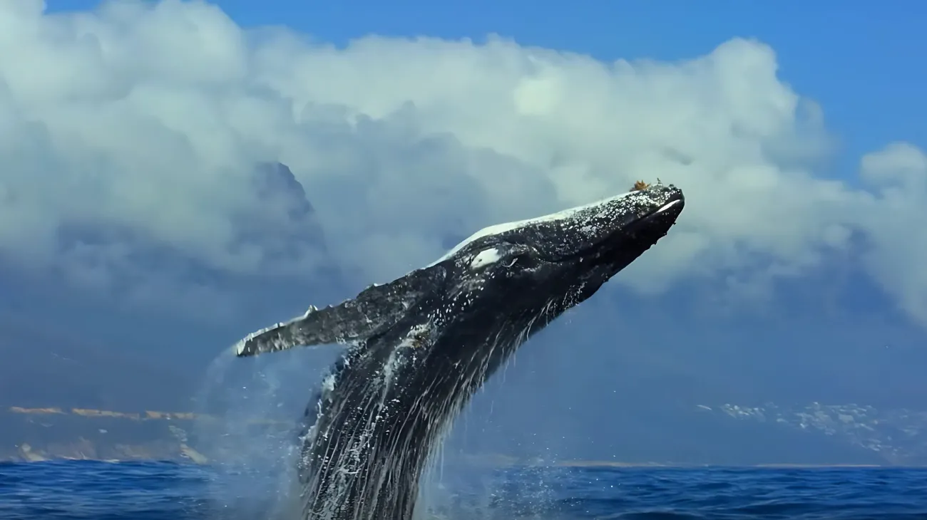 Progetto senza titolo-27