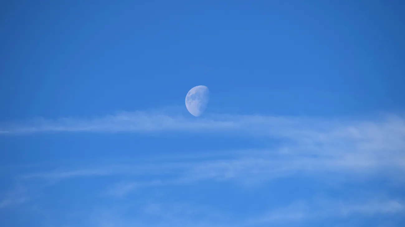 Progetto senza titolo-28