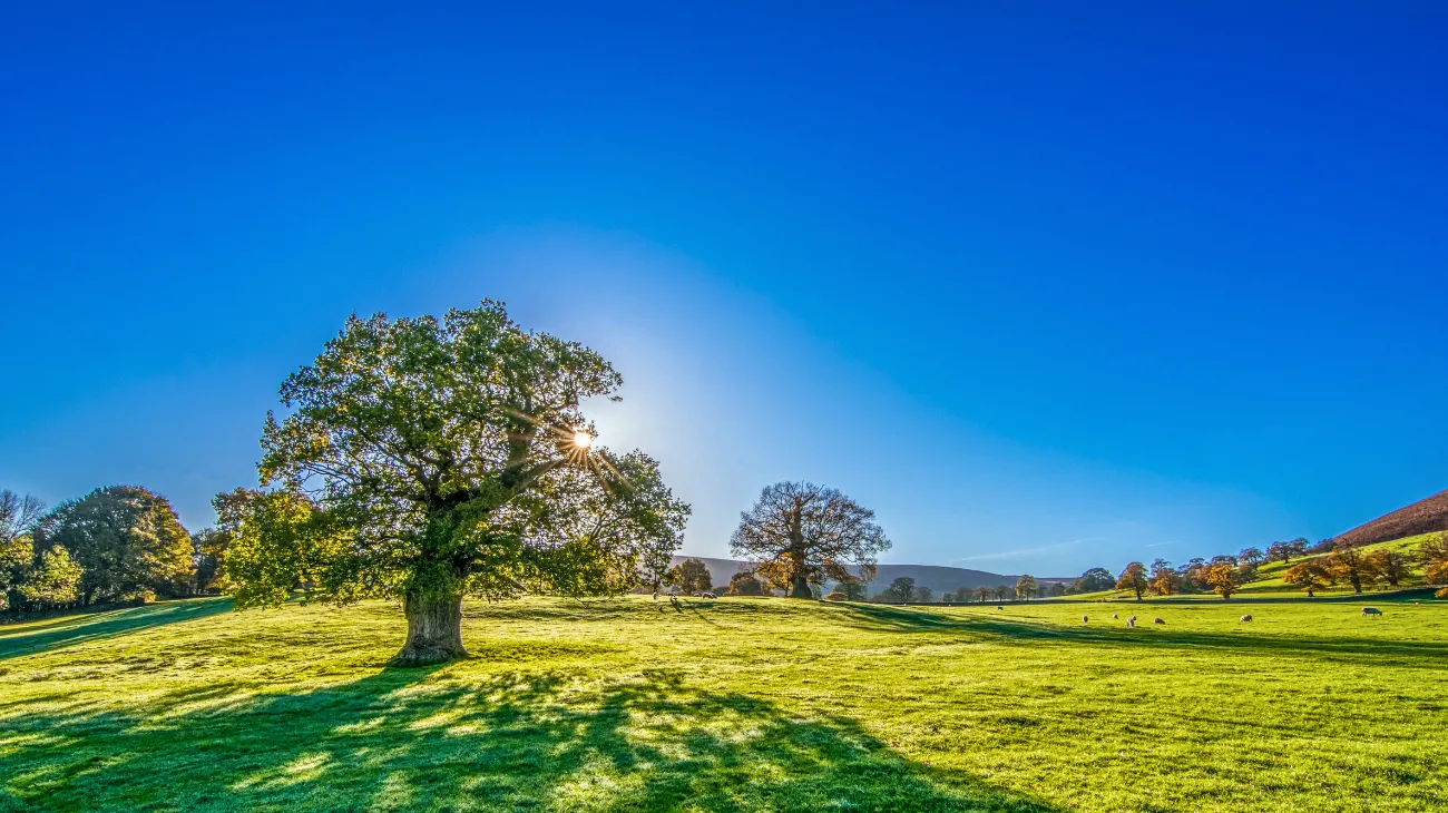 Progetto senza titolo-30