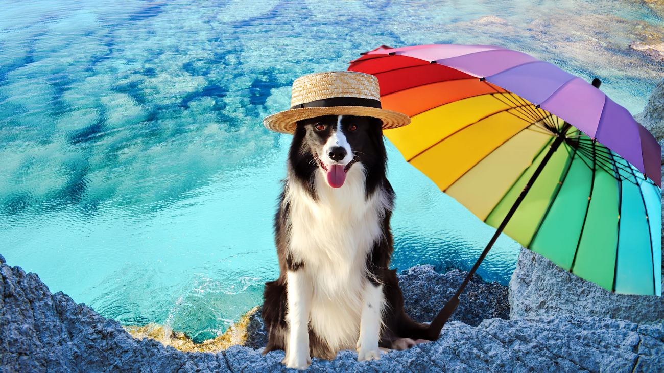 Progetto senza titolo-32