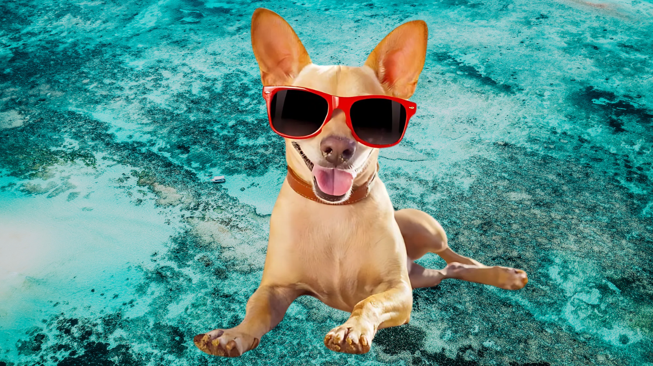 Progetto senza titolo-33