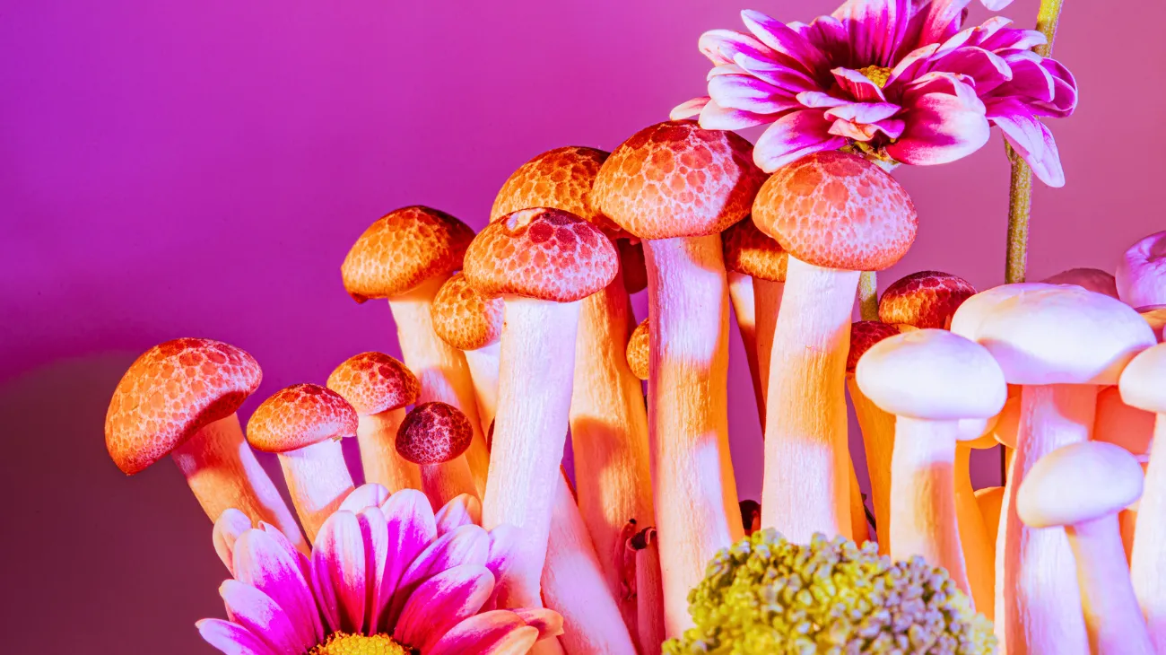 Progetto senza titolo-63