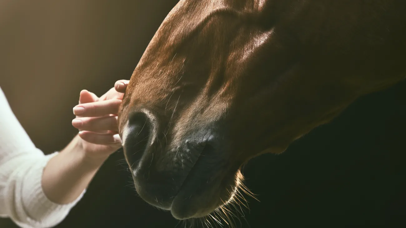 Progetto senza titolo-71