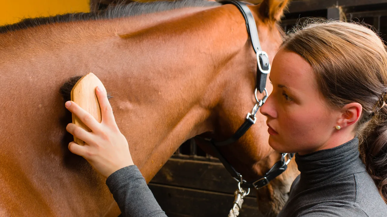 Progetto senza titolo-72