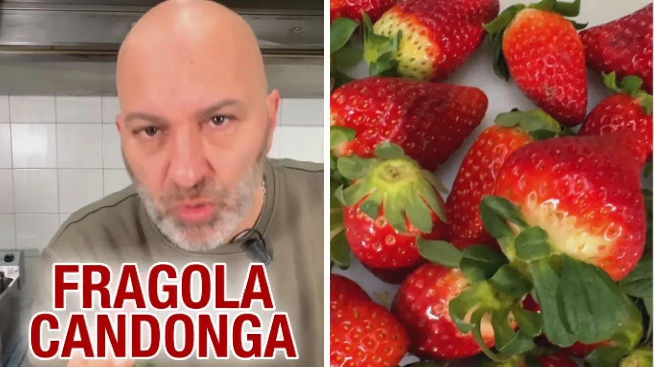 fragola