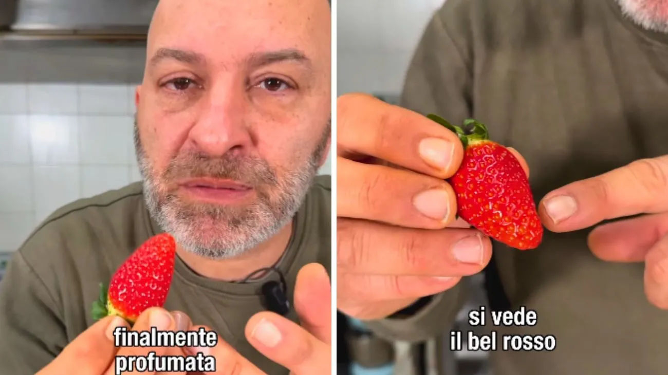 fragola