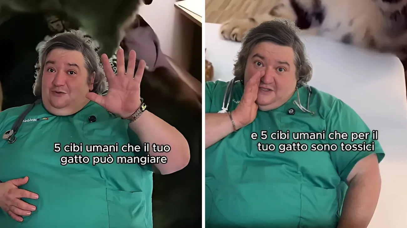 Alimenti gatto umani cinque normali e cinque che non vanno bene