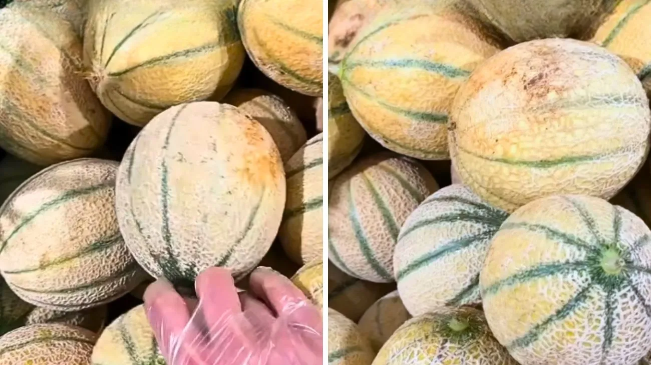 Profilo Lo sapevi vero, melone