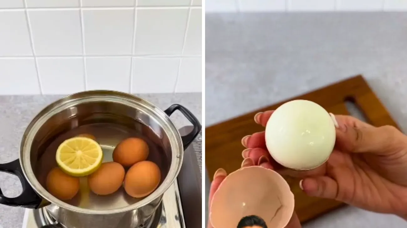 Profilo Lo sapevi vero, uovo sbucciato