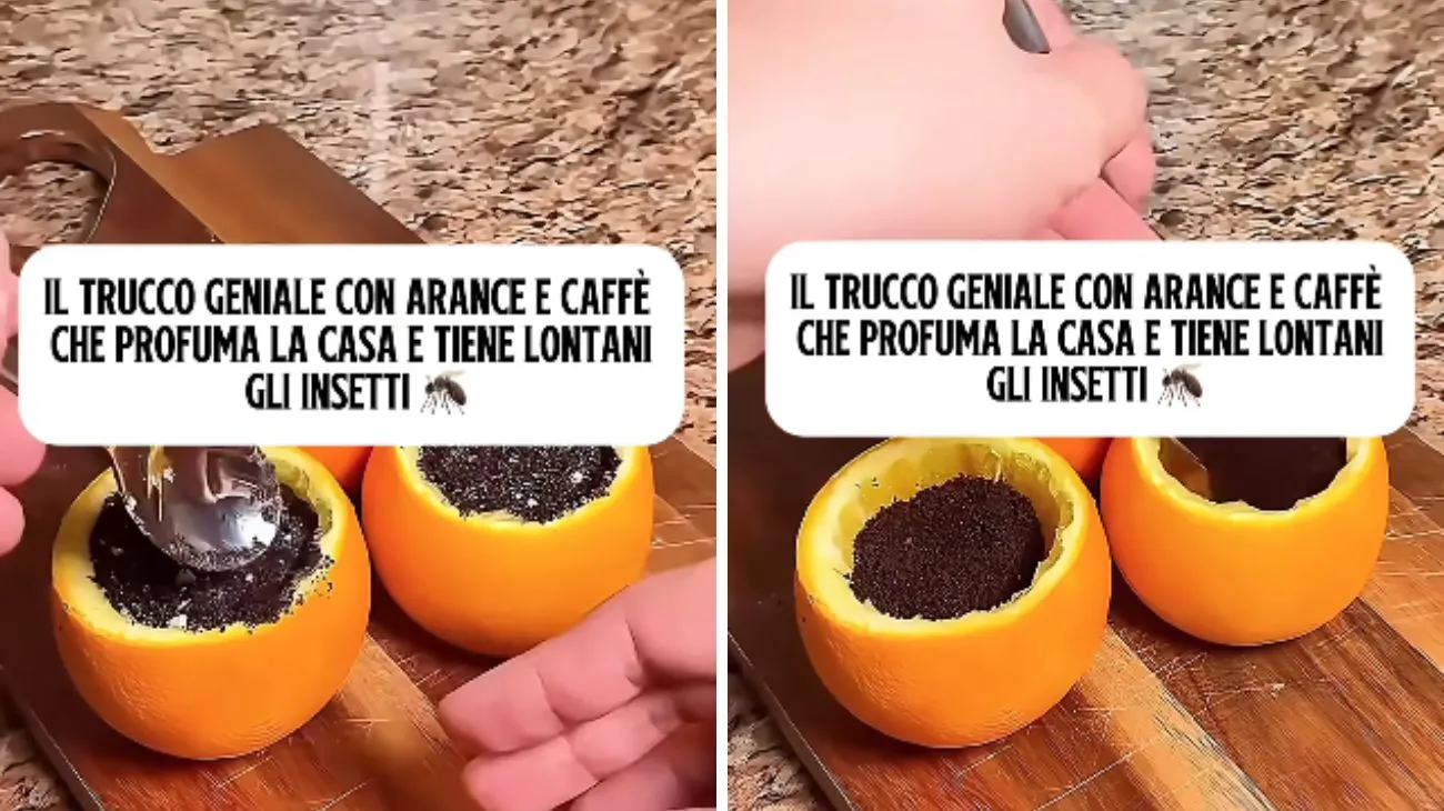 Profilo infiamma il benessere, trucco profuma casa