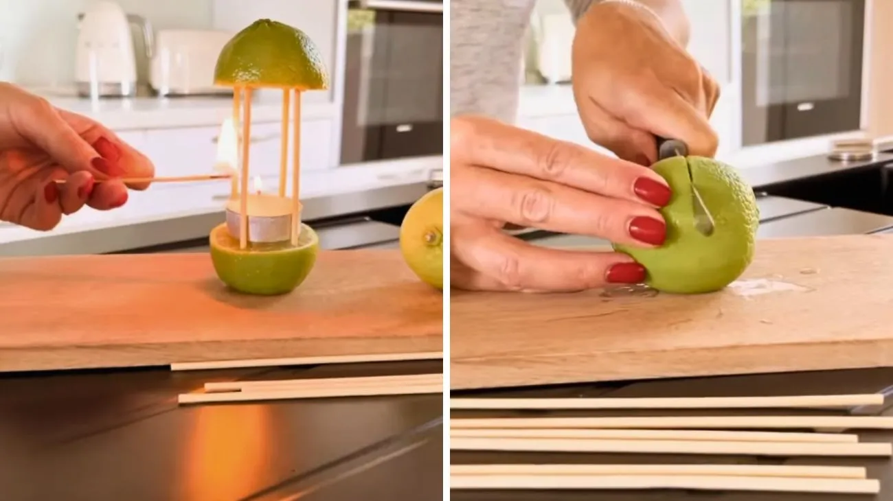 Social Laura Pellegrini, profumo casa